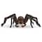 schleich® Wizarding World of Harry Potter™ Aragog Collectible Figurine